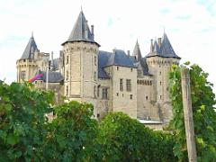 149 DOMAINE DE BLAIRE ET ENVIRONS MAINE ET LOIRE 2016 N0_000039